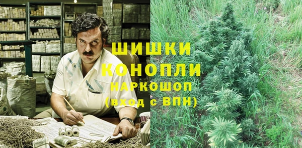 сатива Алексин