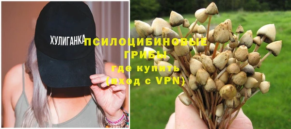 сатива Алексин